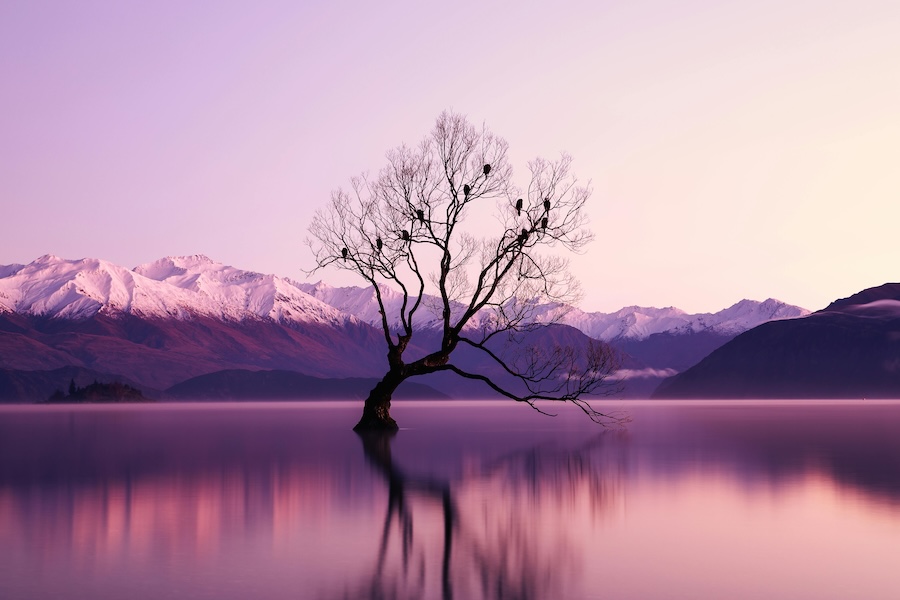 Beautiful image of a calming lake