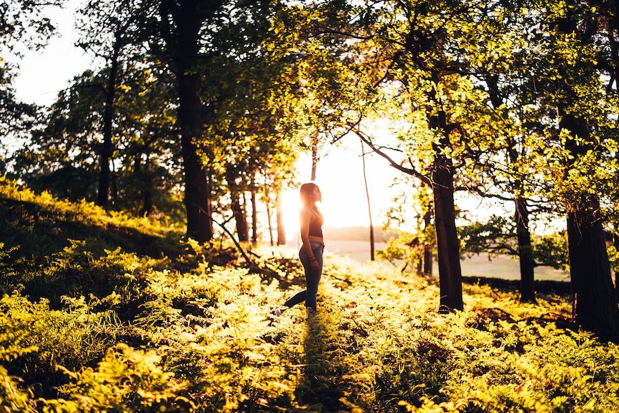 Image of someone standing in a field surrounded by sunlight