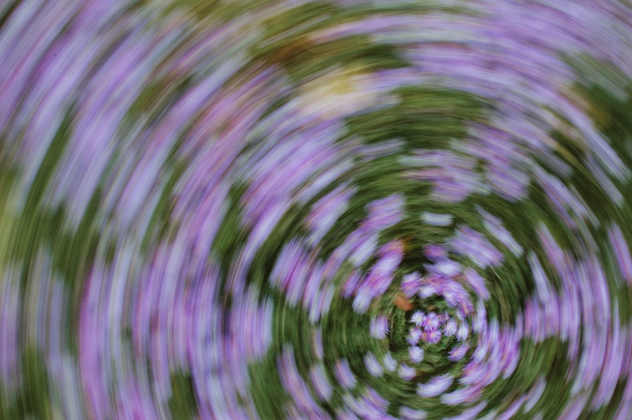 Image of a blurred purple light